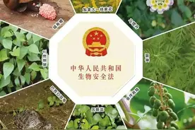 常用的化学消毒剂和应用特点有哪些？图片