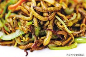 禾虫，广东人眼中的美食，一年仅食两季，外地人：太重口味了图片