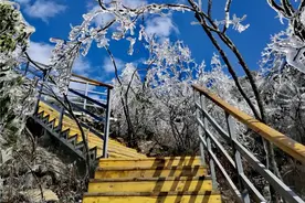 岭南第一险峰金子山的缆车即将开通，用手都可以触摸到云海图片