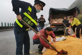 暖！10吨玉米散落高速，“一路三方”施救减少损失图片