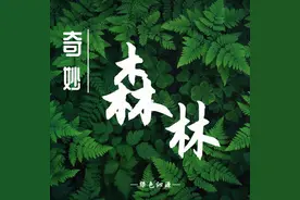 【绿色沁源】世界森林日 | 奇妙森林王国欢迎您图片