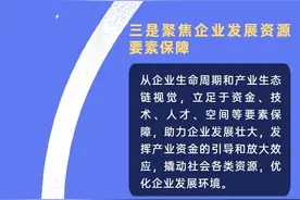 深夜重磅！龙华区数字经济政策大礼包发布图片