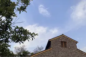 南昌空港新城要兑现！片区开发综合咨询服务项目启动招标图片