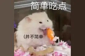 为什么吃碳水会有幸福感？图片