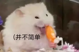为什么吃碳水会有幸福感？图片