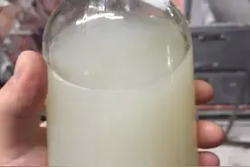 小妙招！怎么知道母猪配种期间是否怀孕？图片