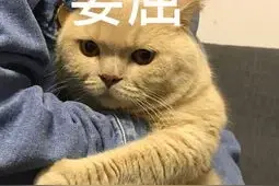 女教师找对象，究竟有多难？图片