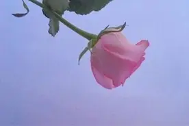 男人的三个要求，你越拒绝，他越离不开你图片