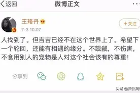 一只宠物鸭引发的全民大讨论图片