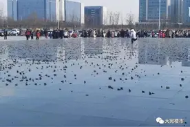 本质上，南阳仍是一个千万人口的大农村图片
