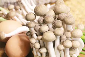 1把蟹味菇，2个鸡蛋，学会这道汤的做法，家里隔三差五就要做一次视频封面
