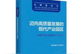 国际产业合作的成功典范——无锡星洲工业园发展报告图片
