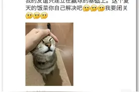 乒乓球混双输了，爱情巨轮说沉就沉，中日夫妻差点当场塌房图片