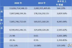 英科医疗：全球手套龙头，2020年归母净利同比增长38倍图片