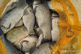 自用酒米配方3个，可打窝可做饵，夏钓大鲫鱼，离不开的好饵料图片