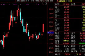 300亿大牛股士兰微董秘陈越：芯片荒是行业二十年一遇的好机会！股价应声冲击涨停图片
