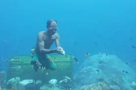 63岁老人每日潜入深海，徒手捕鱼，不用氧气罩也能潜入海下30米！视频封面