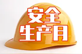 国家电网安全总监周安春：强化安全管控能力建设 守牢安全生产生命线图片