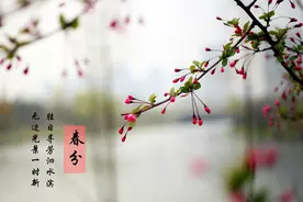 春分时节，牢记“2不做3不吃”，老传统别丢，平安健康度过春天图片