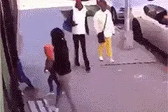 搞笑GIF：主人，求求你了，赏我一点吃的吧图片
