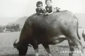 小时候我经历过二次生死瞬间，每当想起这些都让我更加珍惜现在图片