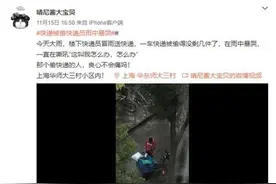 快递员雨中暴哭非快递被盗 因与女友吵架情绪不稳图片