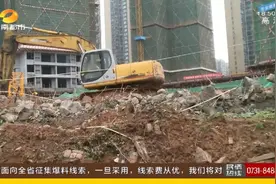 相邻工地竟推倒小区围墙施工，还侵占公共绿化带！米兰春天小区二期业主反对！施工方称“合法合规”…图片