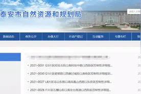 建幼儿园、中小学、高校……泰安最新一批规划信息发布！这些地方要大变样图片