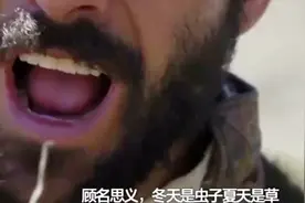 冬虫夏草不属于药食两用物质 长期服用危害人体健康视频封面