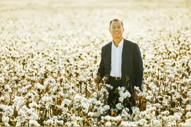 2次进化，3大品牌，曲折上市，市值755亿的棉花王国是这样建立的……｜领军企业图片
