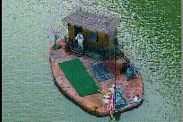 搞笑GIF：孔雀开屏，据说见者都能发大财！不知道是不是真的图片