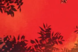 建筑三雕之一砖雕，给古建筑锦上添花图片