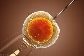 人工授精包括哪些费用？图片