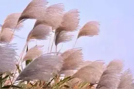 突然就成了高危型高血压图片