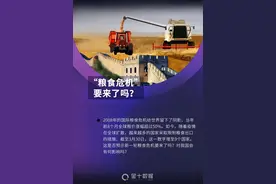 9国限制粮食出口，“全球粮荒”会不会重演？我国有3大底气应对图片