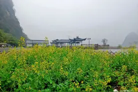 【灵秀钟山水墨画廊】“三八”女神节 ▏踏青、赏花，百里水墨画廊免费活动来啦！图片