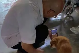 连狗狗也开始内卷了，你家的狗狗有什么特殊技能呢？图片