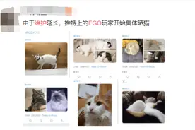 跨界赋能《FGO》四周年，看官方与御主们如何互动？图片