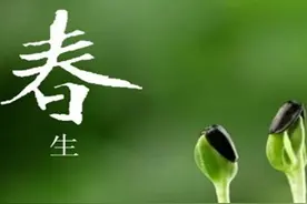 春季时下，理当肝气旺盛，但为何会出现肝肾不足？图片