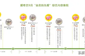 视频VIP综艺消费观察：会员抢先能造梗 衍生内容热度高图片