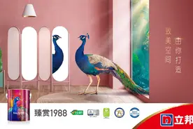 立邦臻赏1988艺术效果漆新品上市，梦幻千色打造致美空间图片