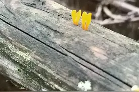 你还在满足低级欲望吗？图片