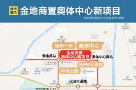 我今天实探！徐州王炸新盘曝光！一大波有钱人已经盯上图片