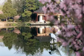 莫愁湖公园位于江苏省南京市建邺区，有着1500年悠久历史图片