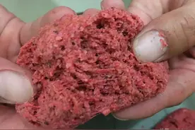 使用蓝鲫还要不要加拉丝粉？把这2个问题搞清楚就不再纠结了图片