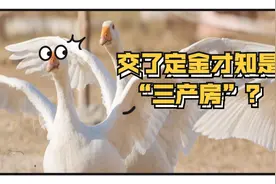 交了定金才知是“三产房”？南宁将专项整治小产权房图片