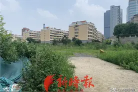“皇室园林宅邸”一度沦为“菜园子”，济南这个著名烂尾楼更名后重启图片
