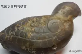“饮鸩止渴”的鸩鸟，真的存在吗？它们真的靠羽毛就能毒死人吗？图片