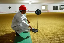 早安武汉｜武汉一青年获奖300万元！超800名两院院士推荐评审，含金量十足图片