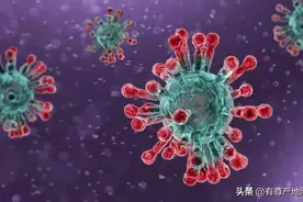 辉瑞mRNA疫苗和传统疫苗比较图片